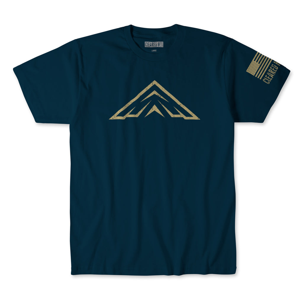 Navy Blue with Gold